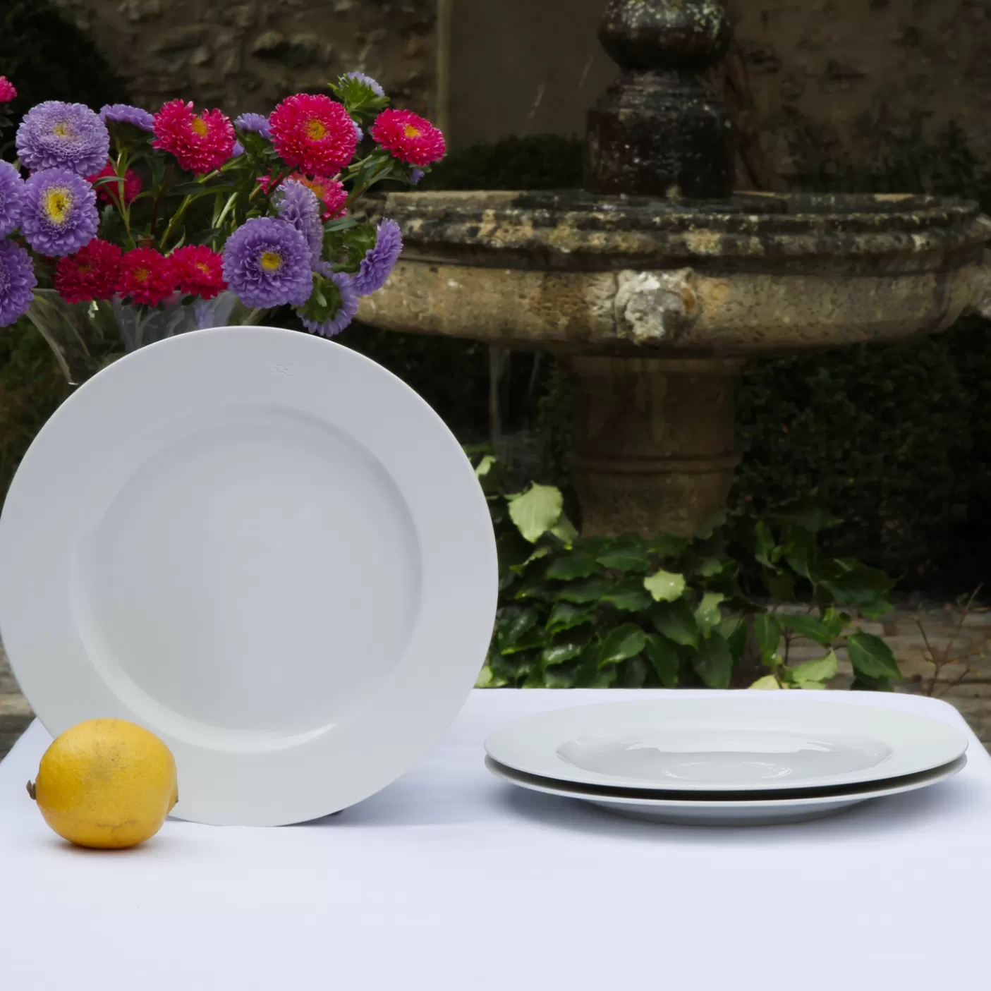 Sale Lot De 6 Assiettes à Dessert Blanches Rondes En Porcelaine De Limoges Assiettes