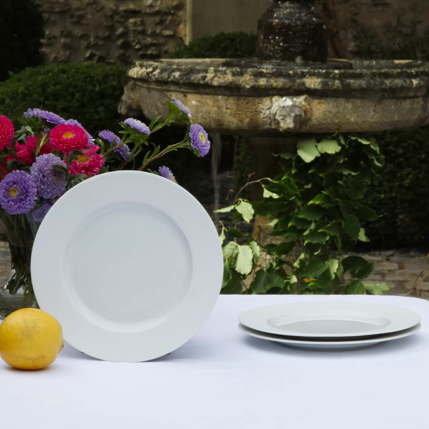 Flash Sale Lot De 6 Assiettes Blanches Rondes En Porcelaine De Limoges Assiettes